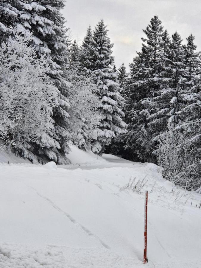 Chamrousse 1700 - Asters A03 Exterior foto